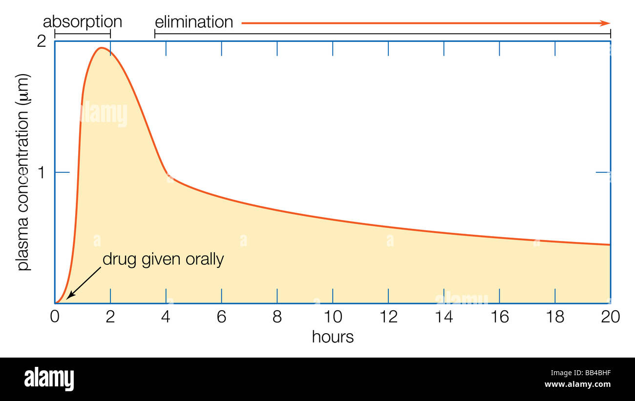 Typischer Verlauf der Veränderungen in der Plasmakonzentration eines Medikaments im Laufe der Zeit nach oraler Verabreichung. Stockfoto