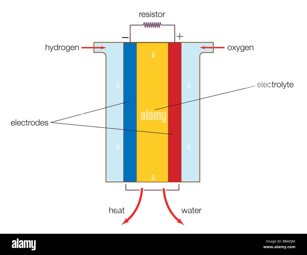 Eine Brennstoffzelle (eigentlich eine Gruppe von Zellen) hat im Wesentlichen die gleichen Arten von Komponenten wie eine Batterie. Stockfoto