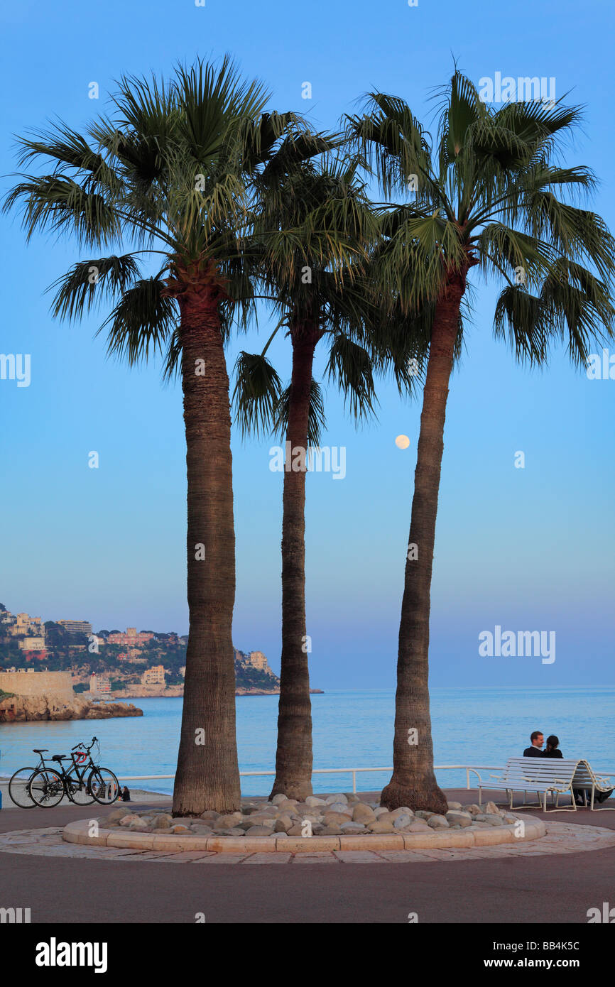 Paar unter ein paar Palmen an der Promenade des Anglais in Nizza an der französischen riviera Stockfoto