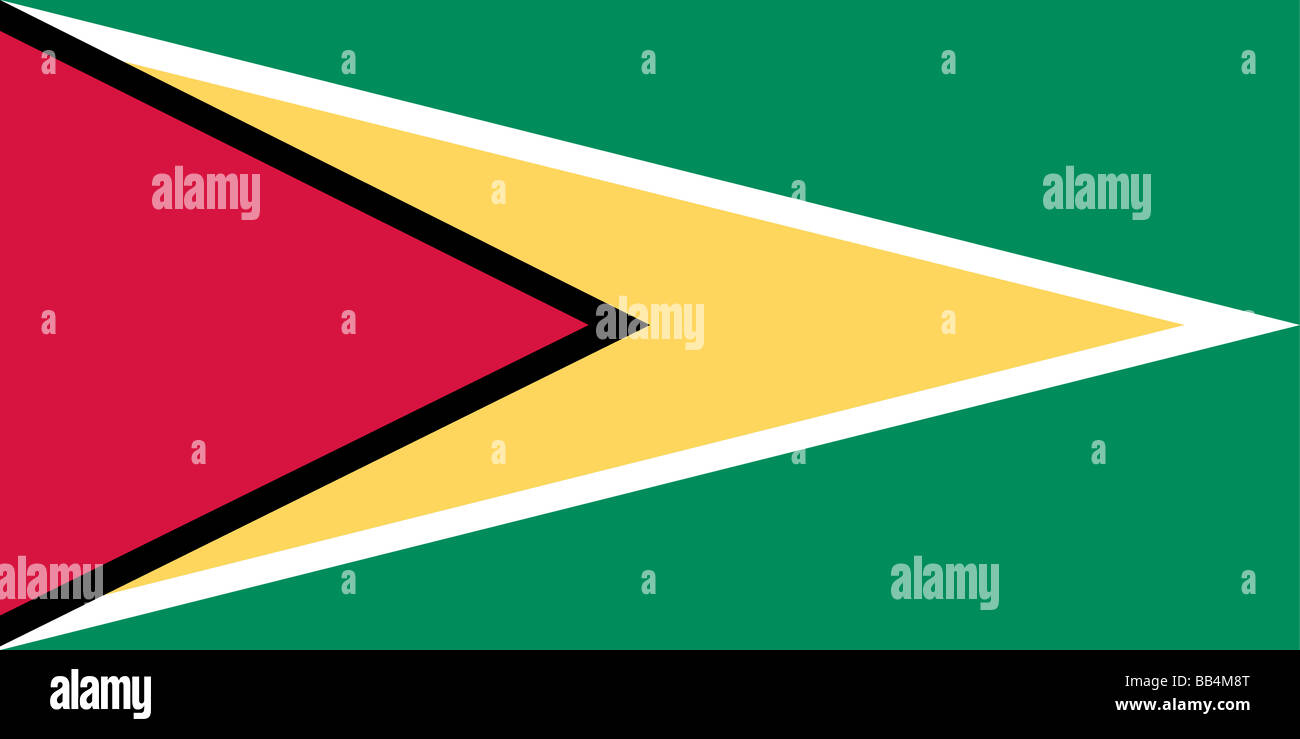 Flagge von Guyana Stockfoto