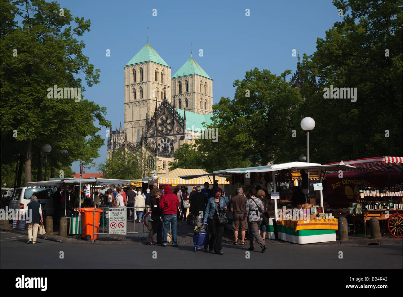 Wochenmarkt auf dem Domplatz in Münster Westfalen mit Münster-Dom, St. Paulus-Dom, hinten Stockfoto