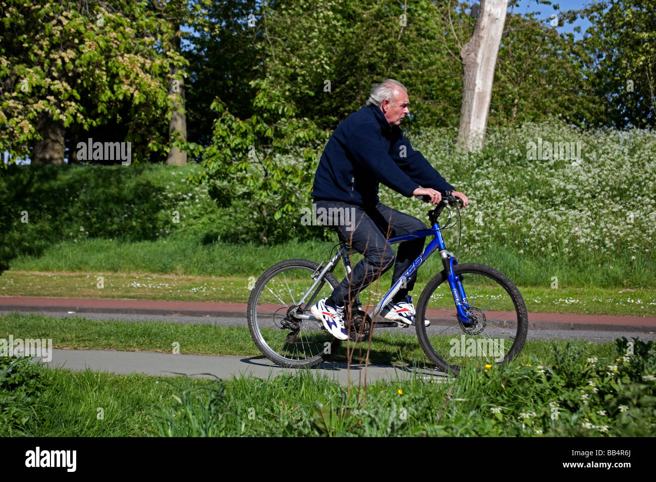 Älterer Mann Radfahren durch den Park, Edinburgh, Schottland Stockfoto