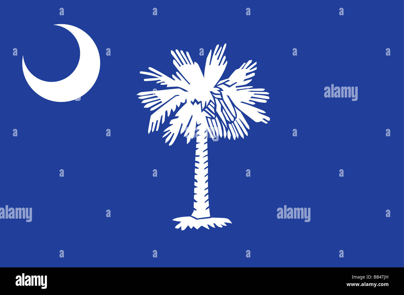 Staatsflagge von South Carolina Stockfoto