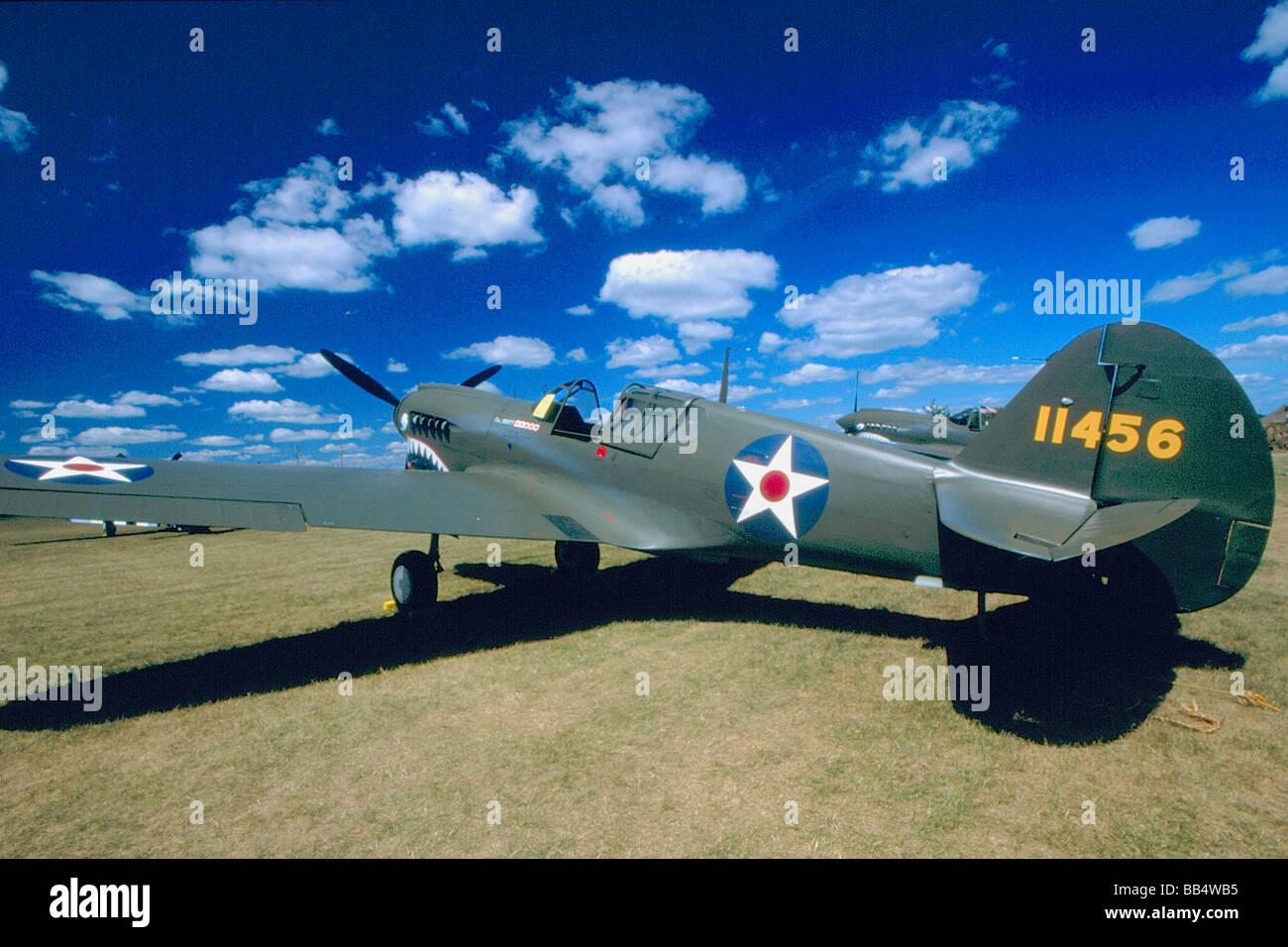 Curtiss p-40 Warhawk am Boden Stockfoto
