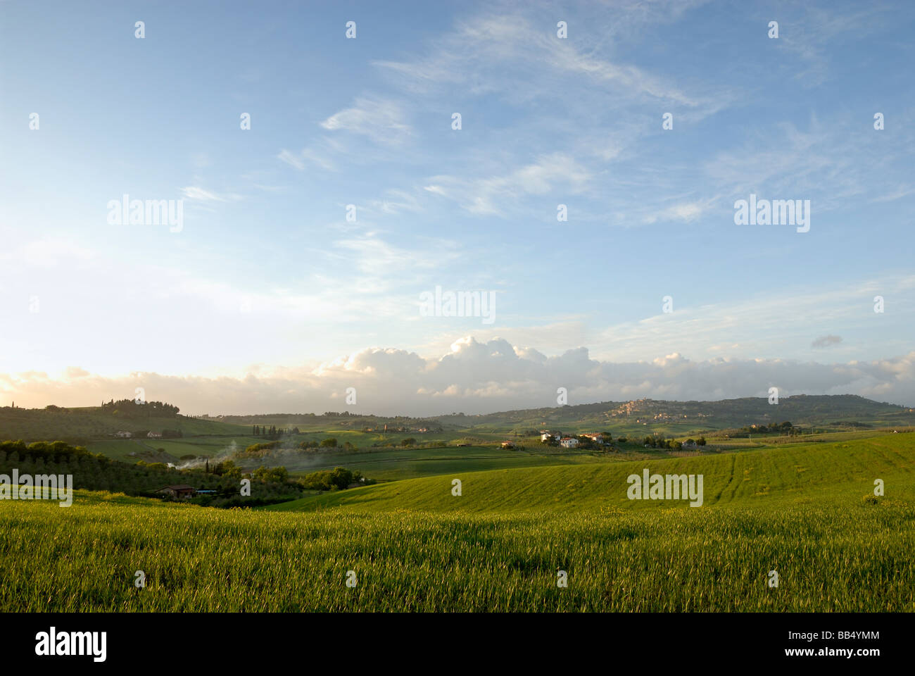 Malerische Aussicht auf eine weite grüne Landschaft in der Nähe (einmal etruskischen) mittelalterlichen Bibbona, Toskana, Italien Stockfoto