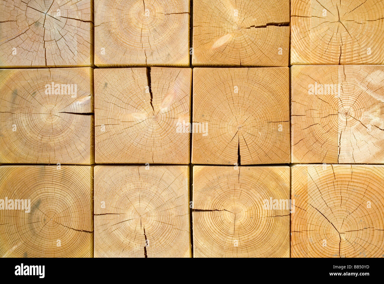 Gesägte Enden der 12 quadratische Blöcke des Holzes zeigt Ringe und Shakes. Stockfoto