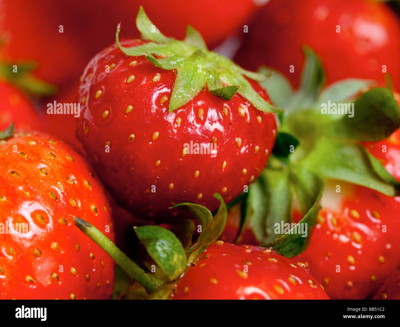 Erdbeeren hautnah Stockfoto