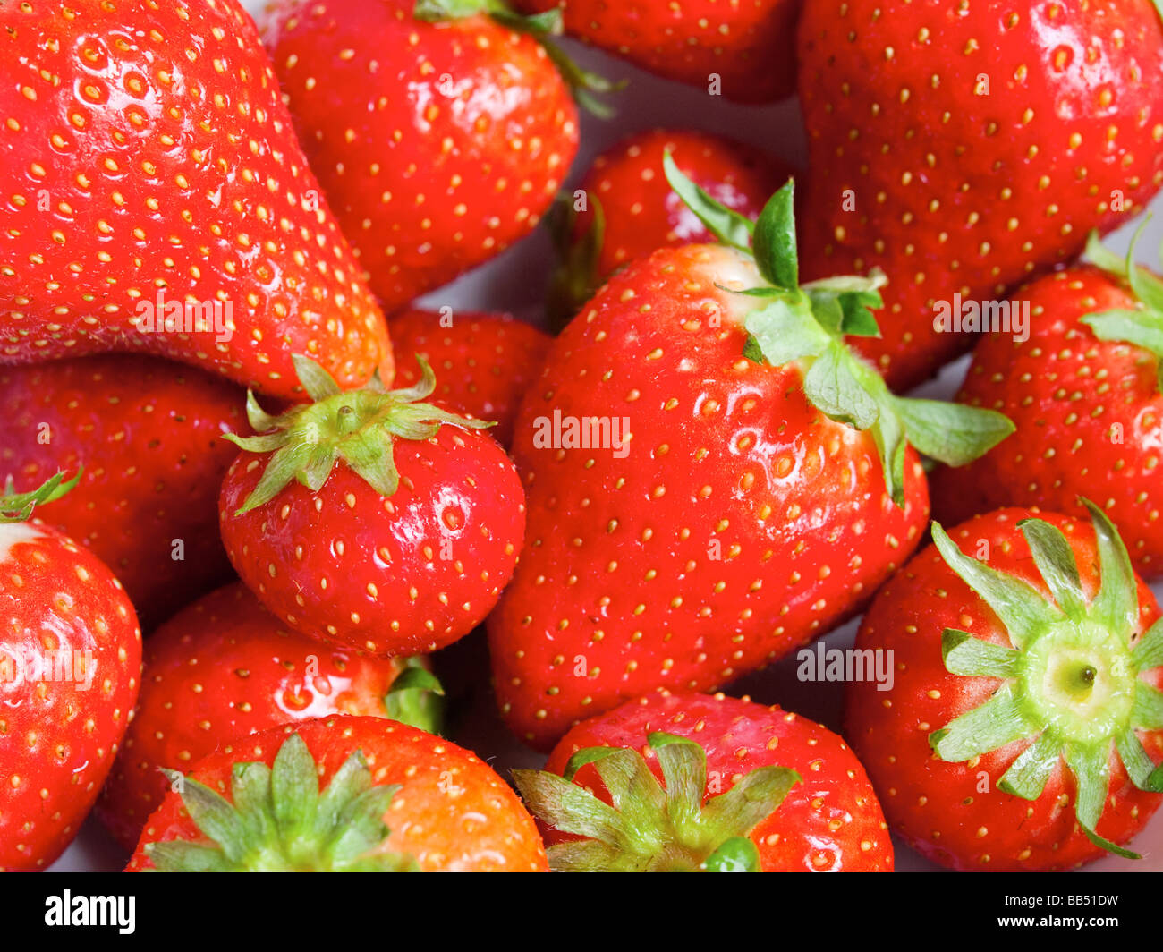 Erdbeeren-Nahaufnahme Stockfoto