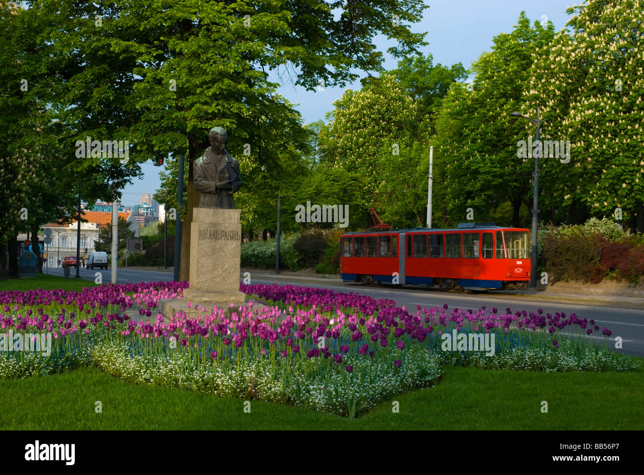Straßenbahn in Belgrad-Serbien-Europa Park vorbei Stockfoto