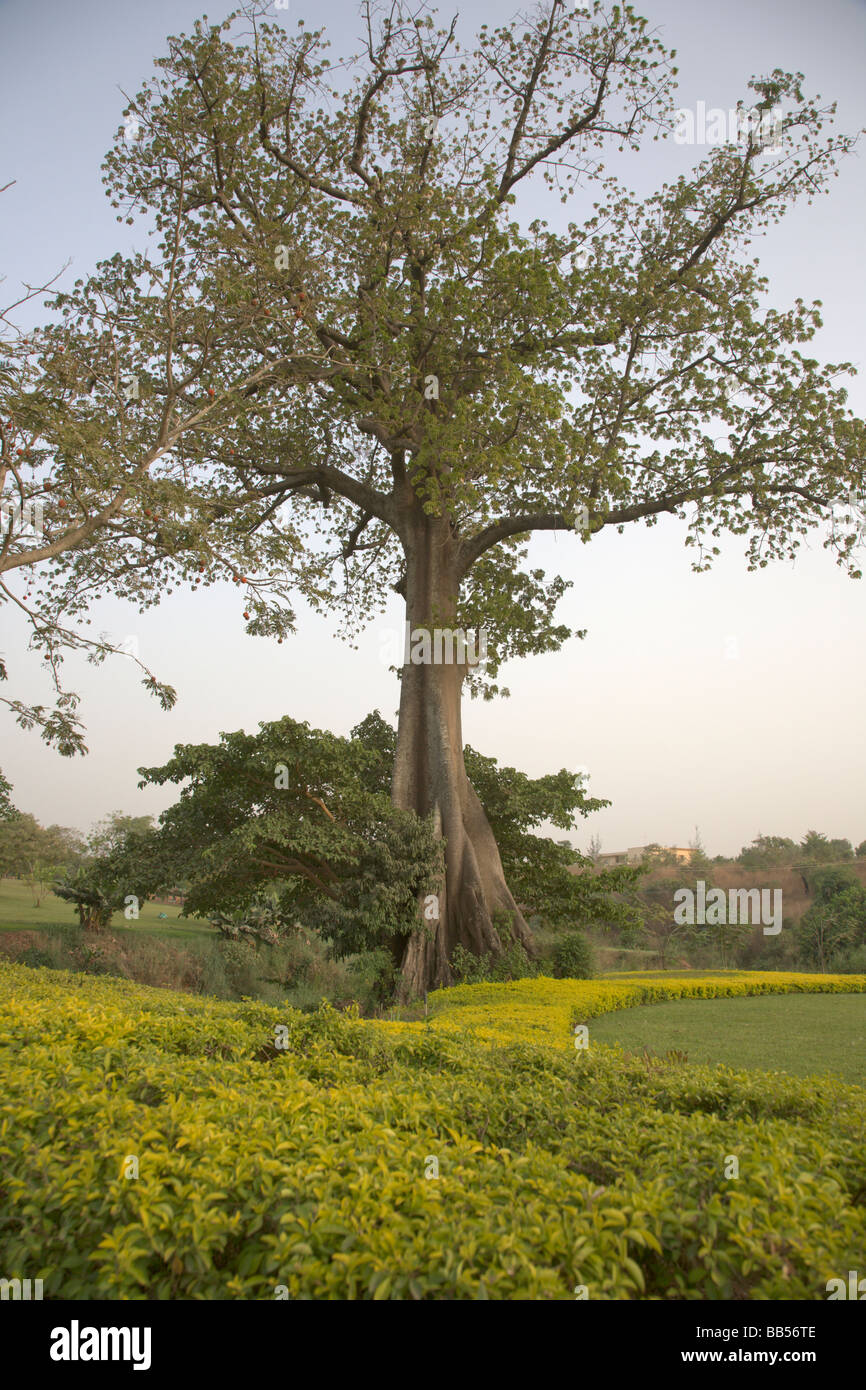 Entworfen von dem berühmten Architekten Manfredi Nicoletti, ist Millenium Park Abuja die größte Park und Grünanlage. Stockfoto