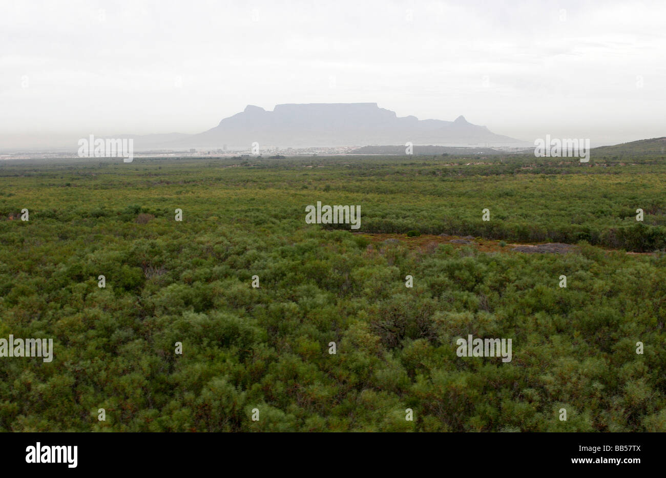 Neblige Sicht des oberen Tafelberg in Kapstadt aus einem Hubschrauber Stockfoto