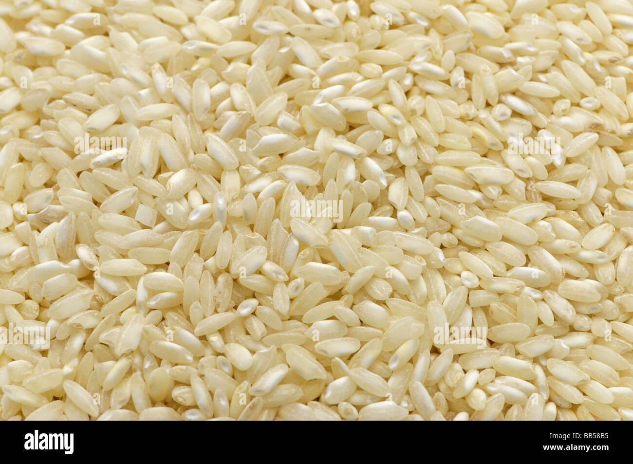 Ungekochten Reis Stockfoto