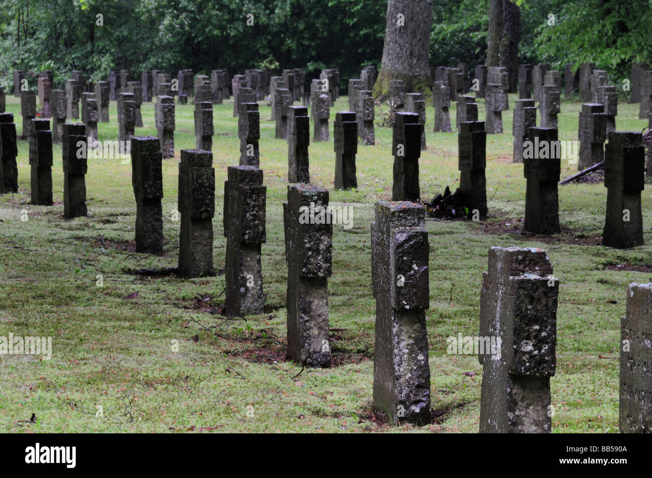 Deutscher Soldatenfriedhof, Reifferscheid, Eifel Stockfoto