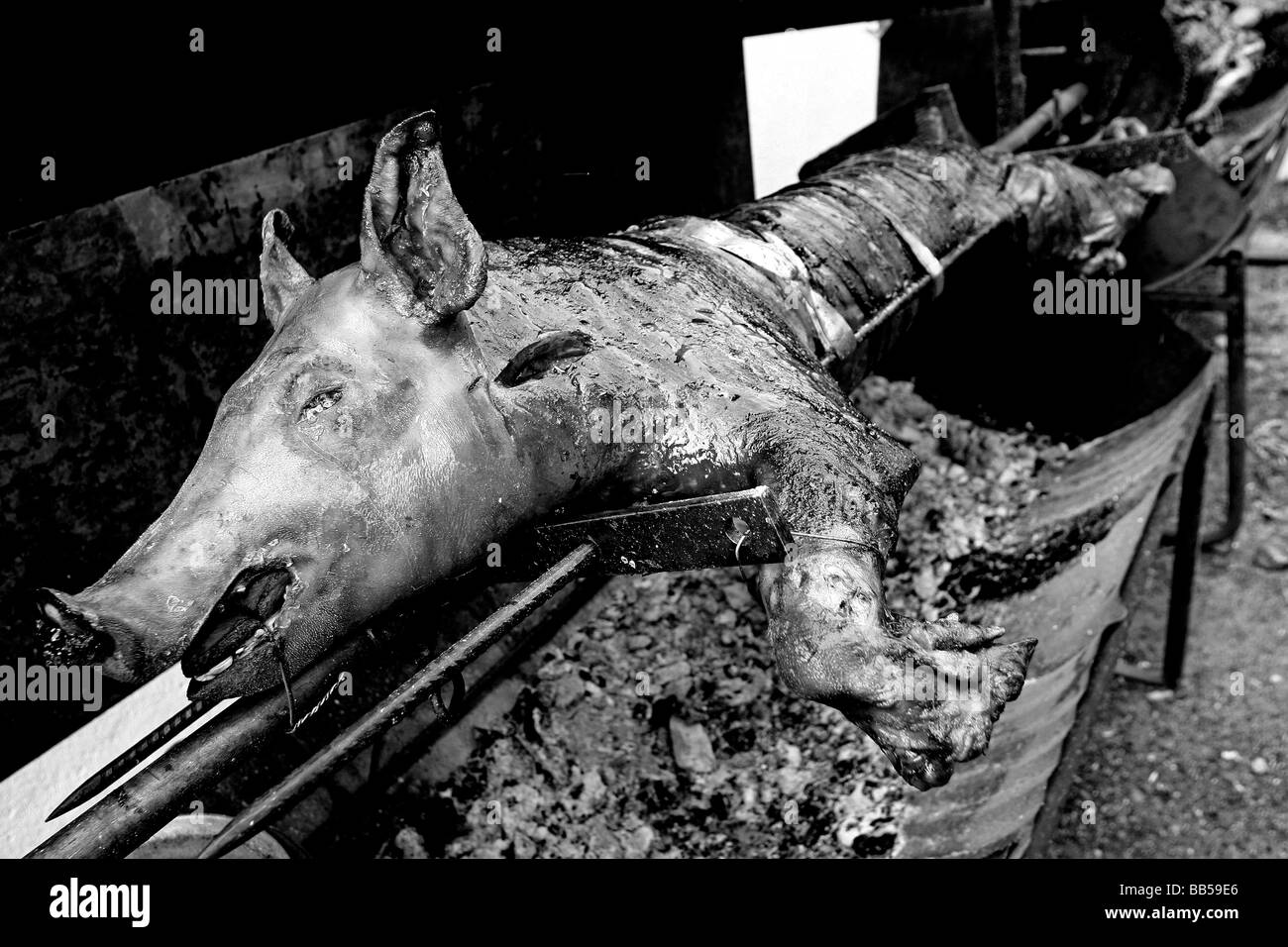 SPIEß GEBRATENES SCHWEIN Stockfoto