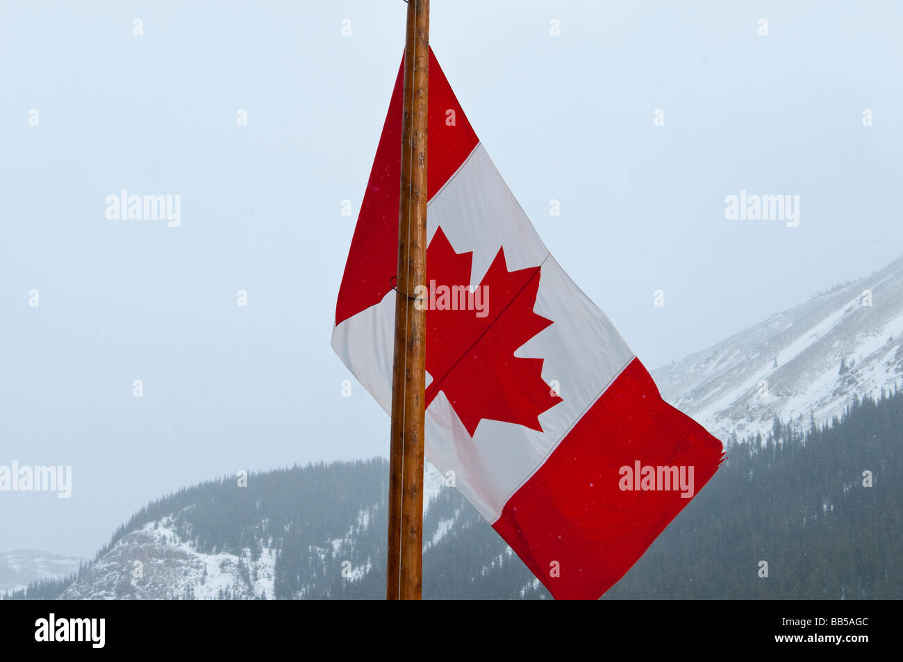 Die Maple Leaf Nationalflagge Kanadas angenommen in 1965 flattert in den Schnee und Wind im Lake Louise Mountain Resort Stockfoto