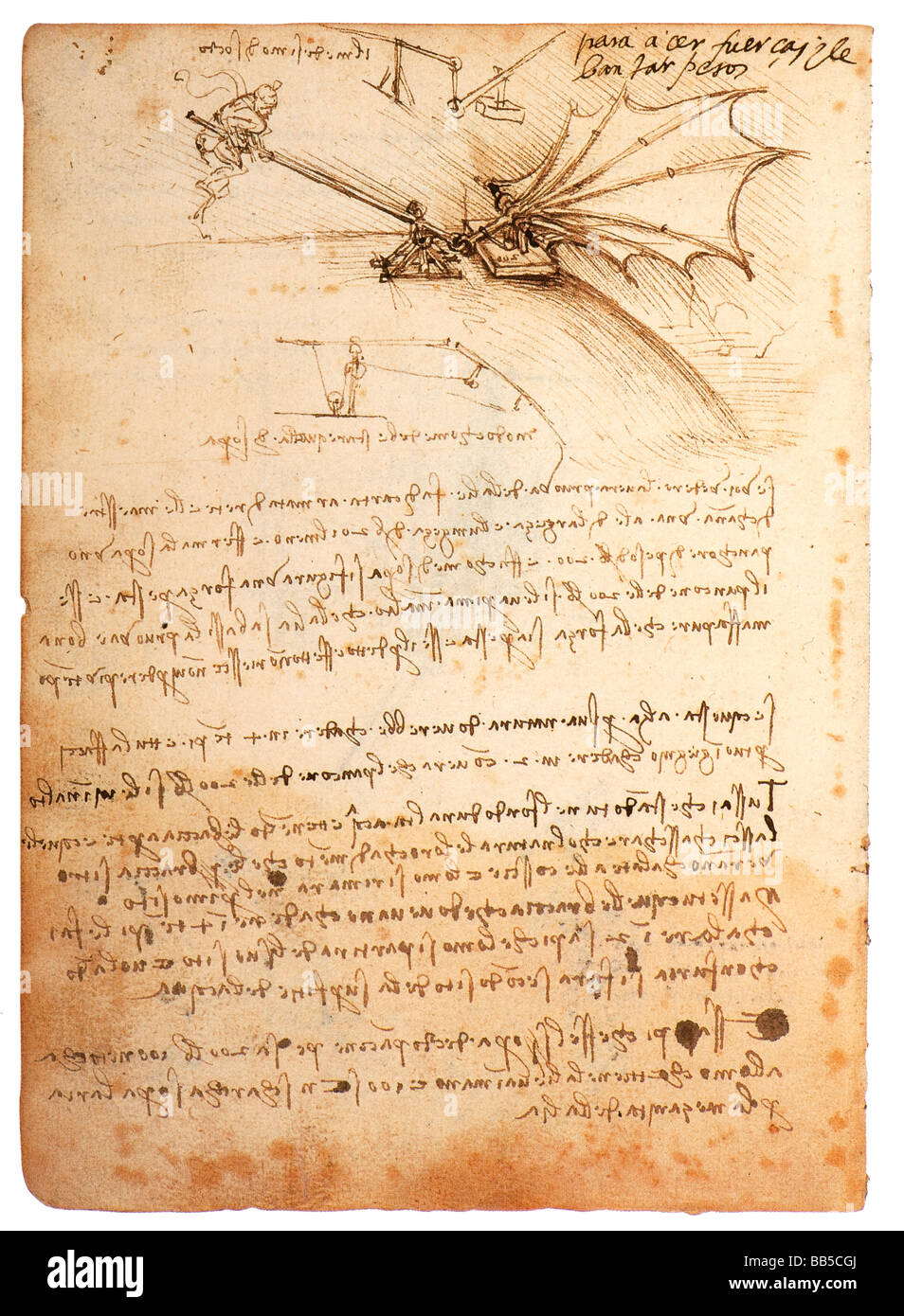 Flatternden Flügel von Leonardo da Vinci 1487-1489 Pen ink Stockfoto