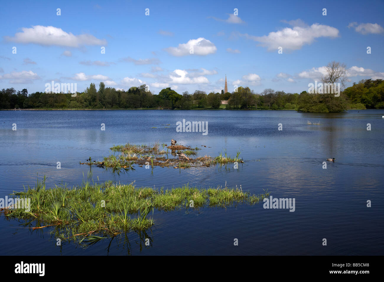 Hillsborough Lake im Waldpark Hillsborough County down Nordirland Vereinigtes Königreich Stockfoto