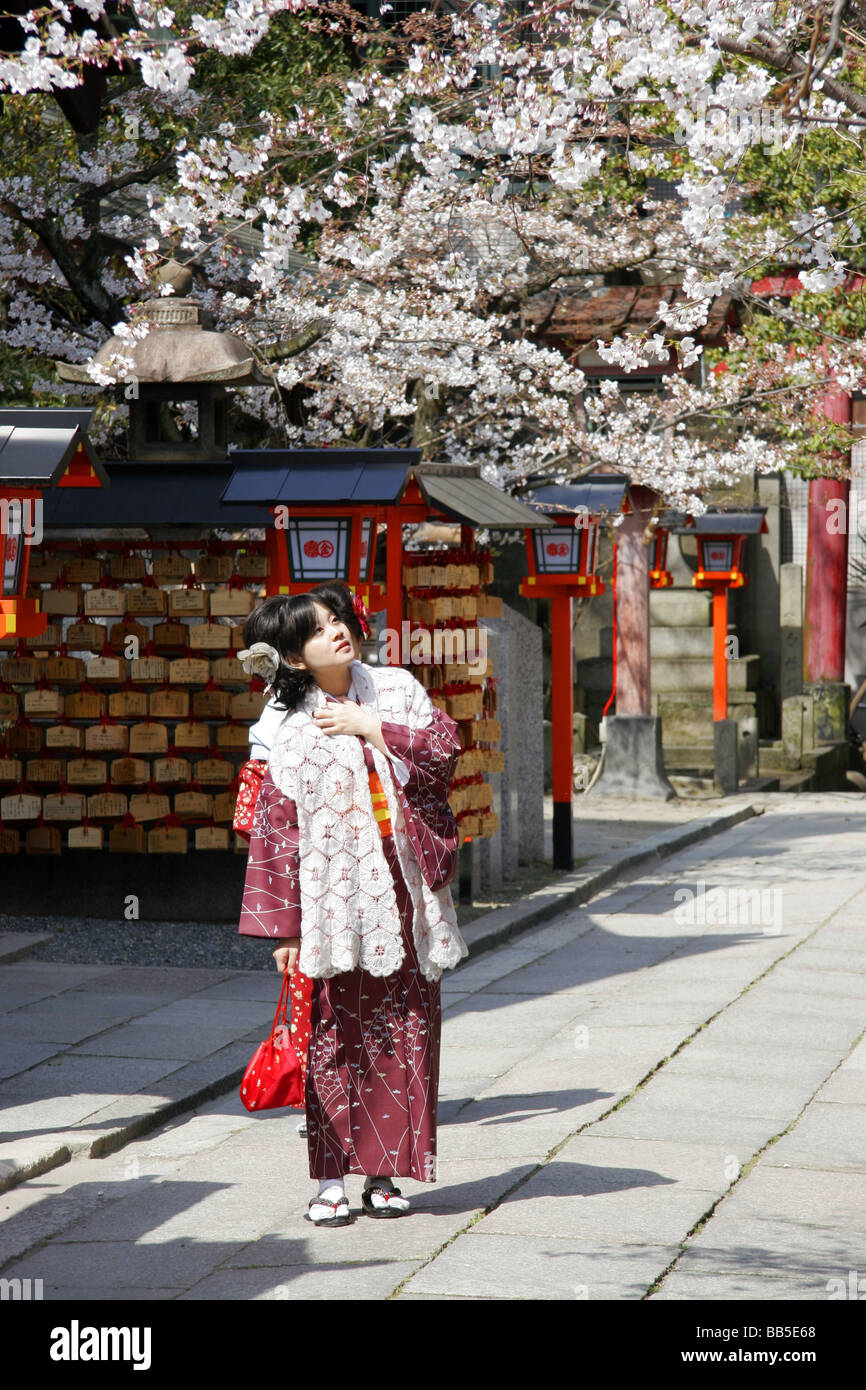 Frau verkleidet als Geisha Kimono trägt, in einem Tempel in Kyoto, Japan. Stockfoto