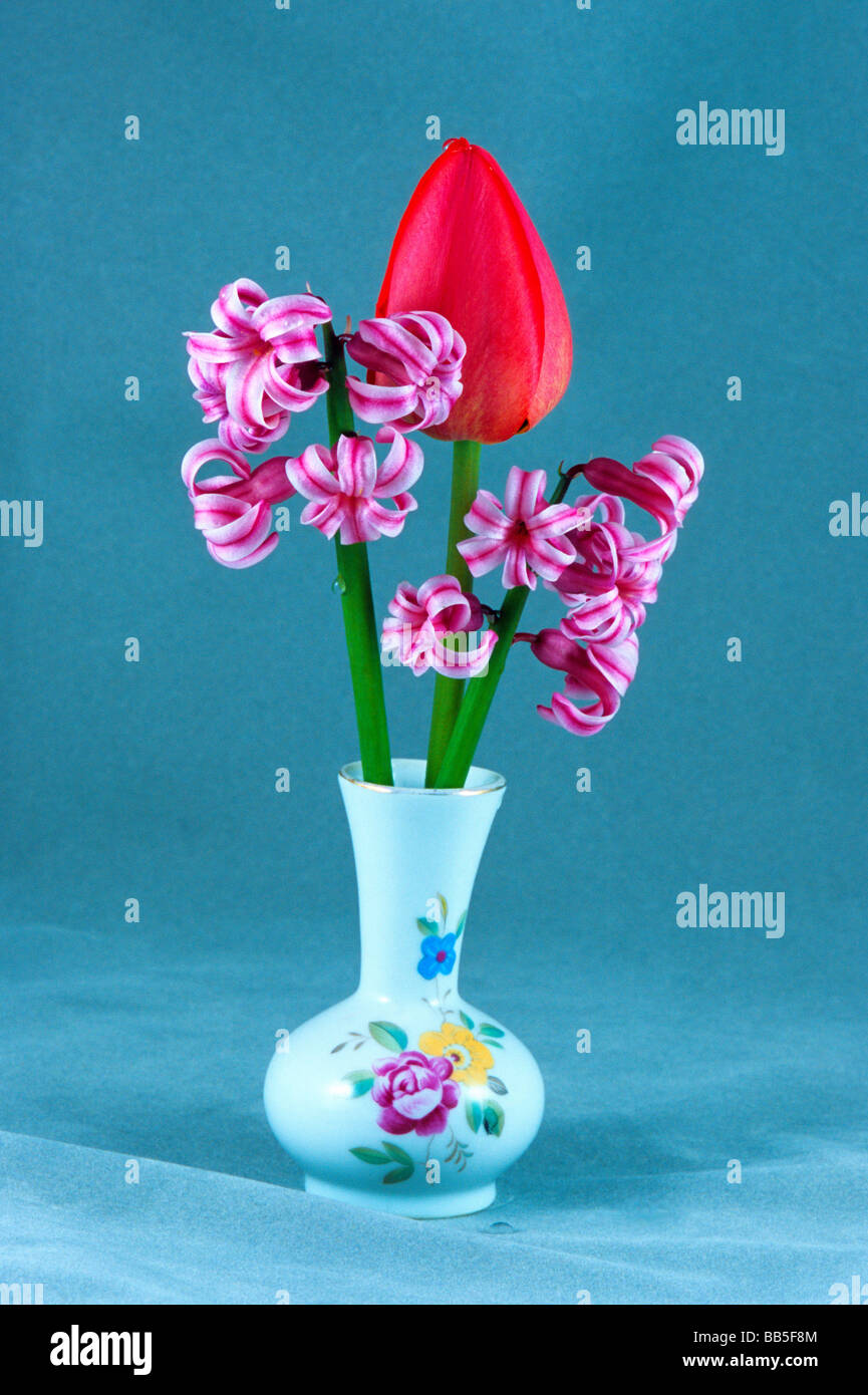 Rote Tulpen und Hyazinthen in Vase, botanische friedliche Flora Blumen künstlerische Komposition Stillleben Tabelle Anordnung Lavendel Stockfoto