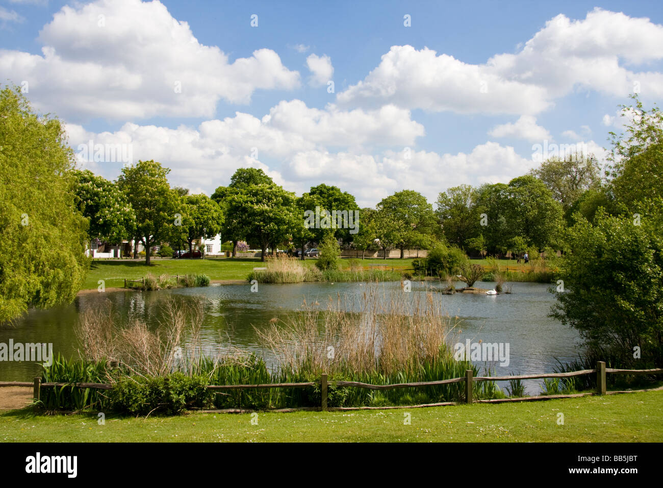 Teich am Schinken gemeinsame Richmond Upon Thames, Surrey England Stockfoto