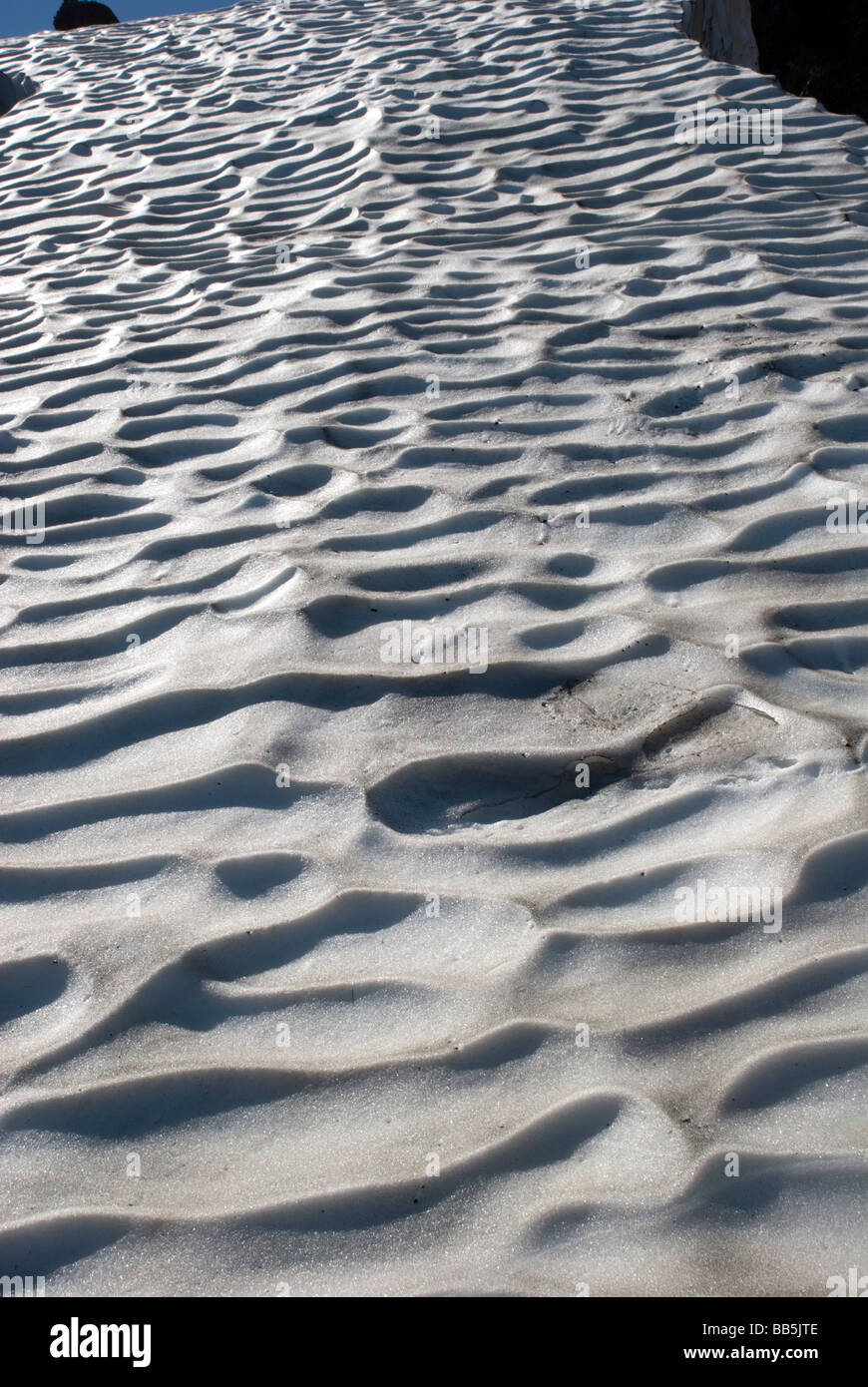 Gletscher in den Anden Stockfoto