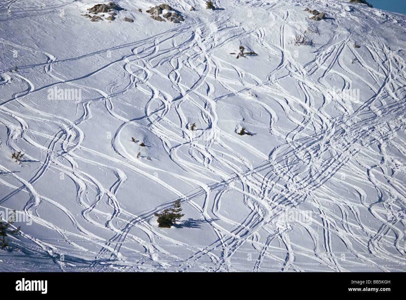 Spur von off Piste Skifahrer Stockfoto