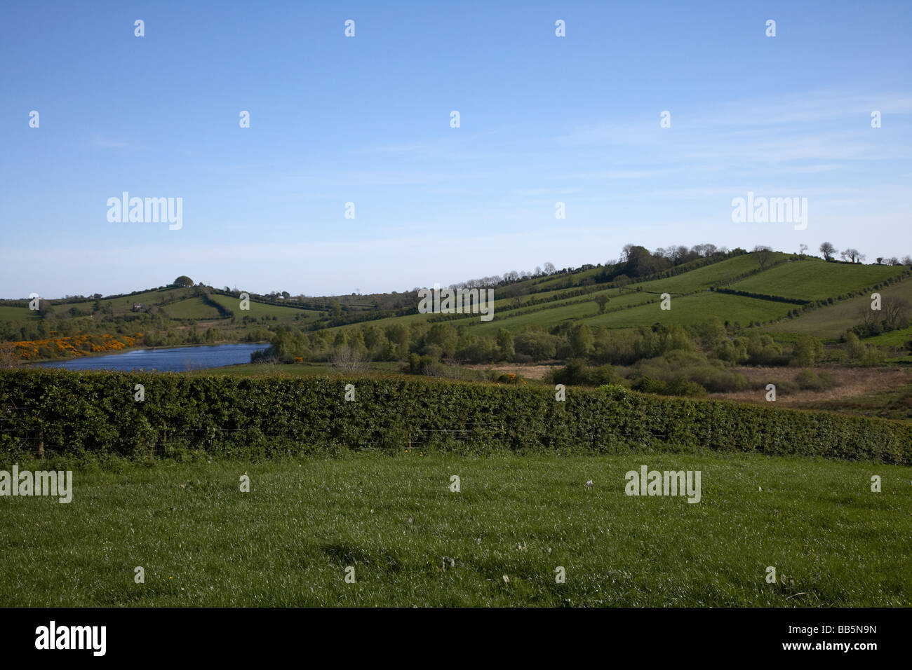 typische Drumlins Ridgeline in Landschaft South Armagh Nordirland Vereinigtes Königreich Stockfoto