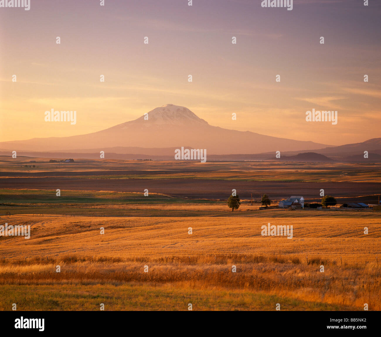 Mount Adams 12307ft gesehen von 45 Meilen entfernt nahe Goldendale, Washington-USA Stockfoto