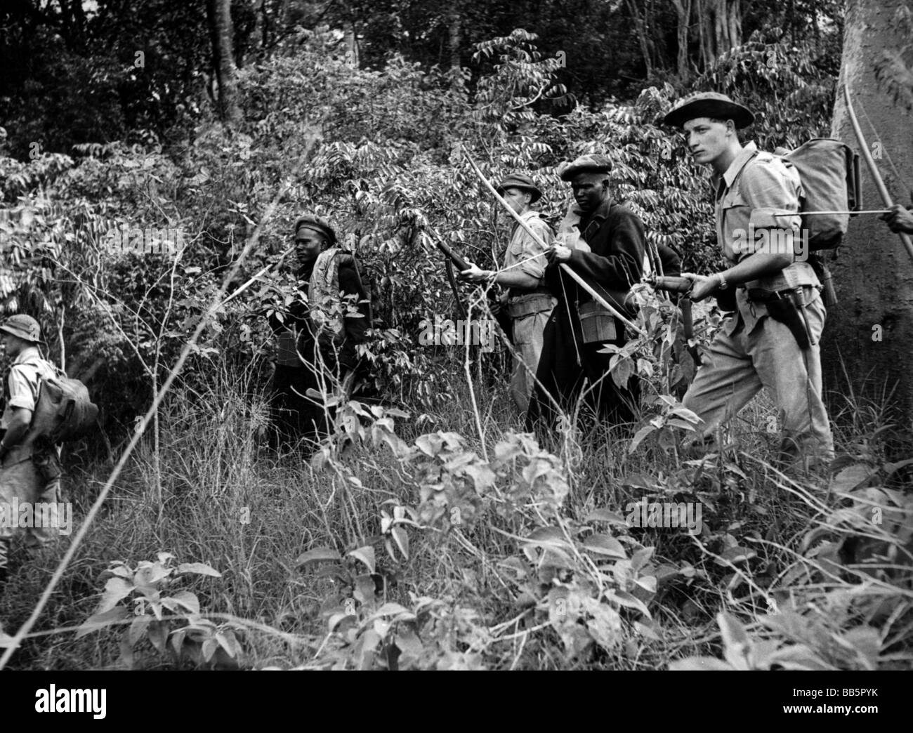 Mau mau Fotos und Bildmaterial in hoher Auflösung Alamy