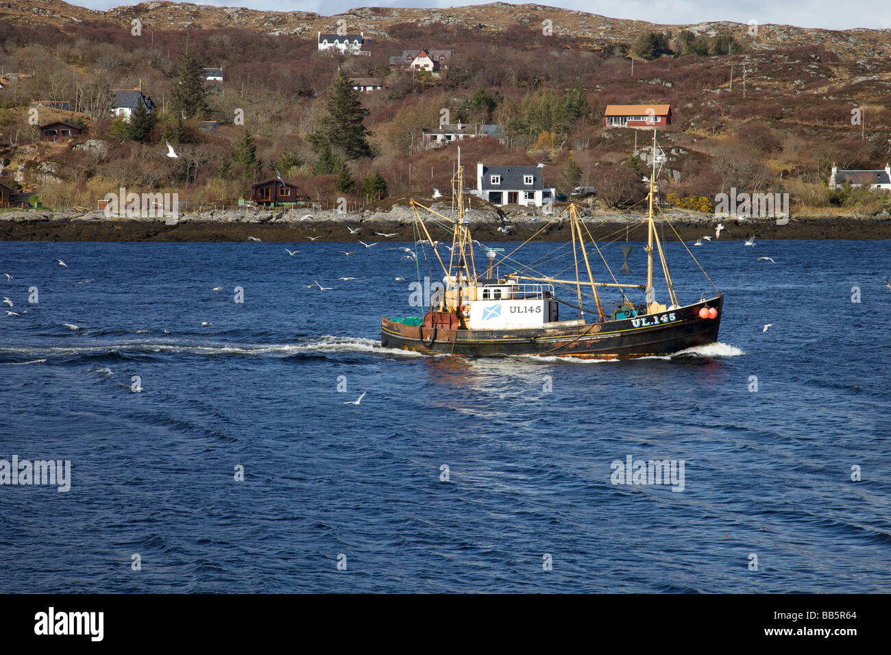 Angelboot/Fischerboot umgeben von Möwen Lochinver North West Highlands von Schottland Stockfoto