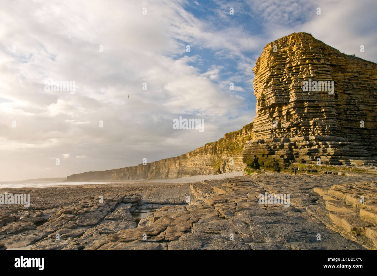 Klippen und Felsen an Nash Punkt auf der Glamorgan Heritage Coast-Wales Stockfoto
