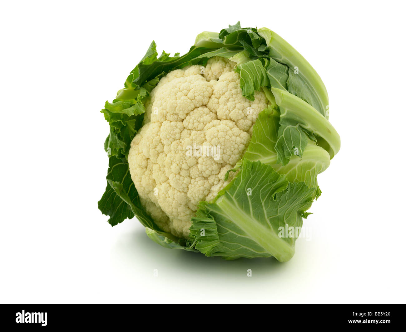 Blumenkohl Stockfoto