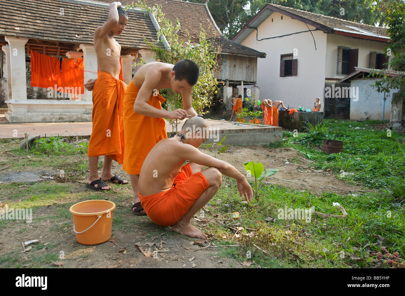 Rasieren gegenseitig Novizen erdet Köpfe im Tempel Luang Prabang Laos  Stockfotografie - Alamy