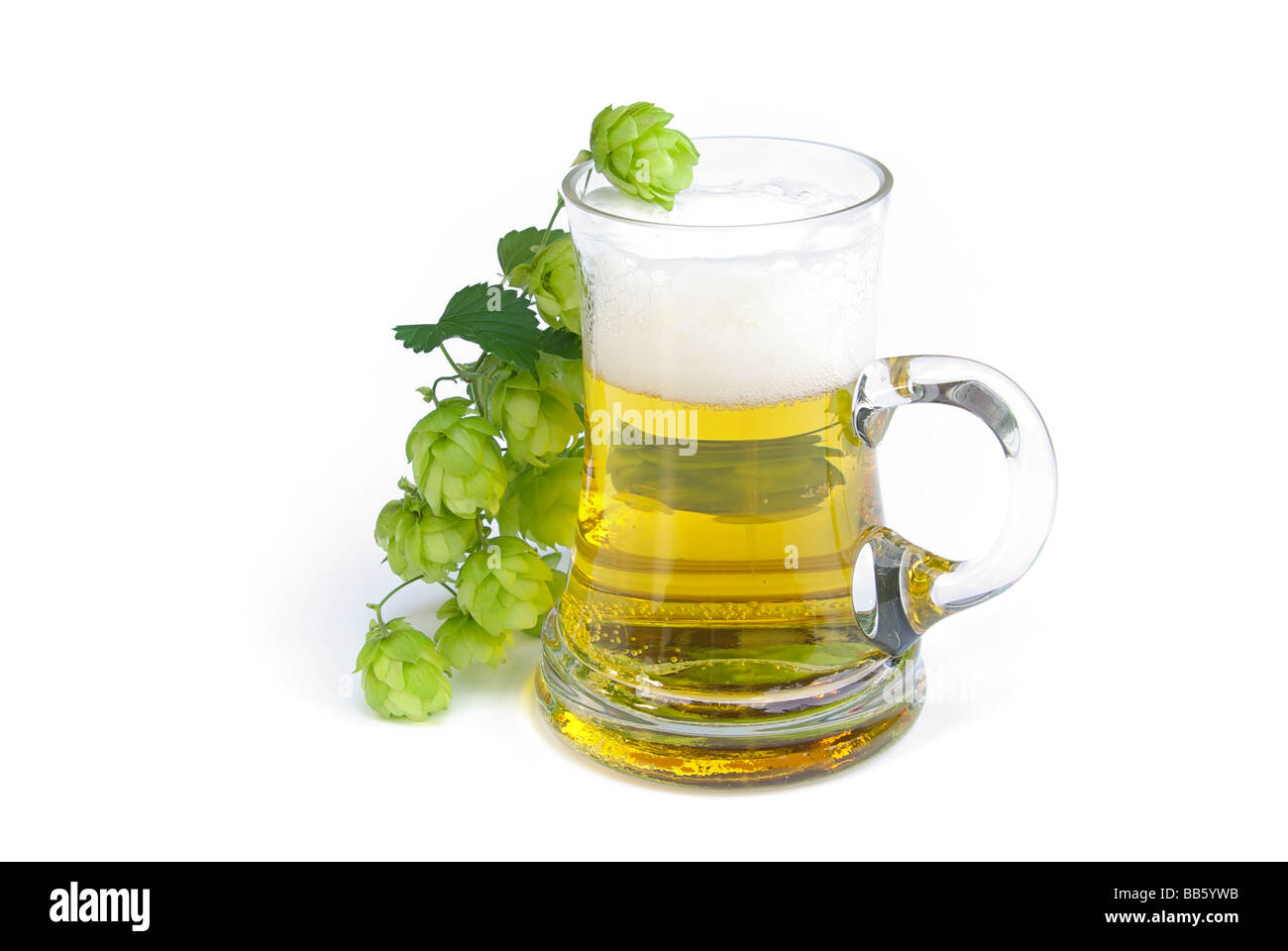 Bier Bier 01 Stockfoto