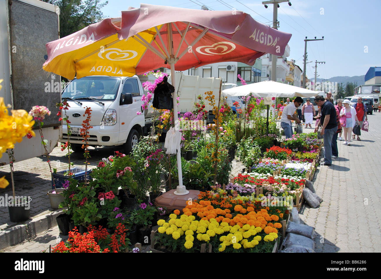 Straßenblumenstände, Icmeler, Halbinsel Datca, Provinz Mulga, Republik Türkiye Stockfoto