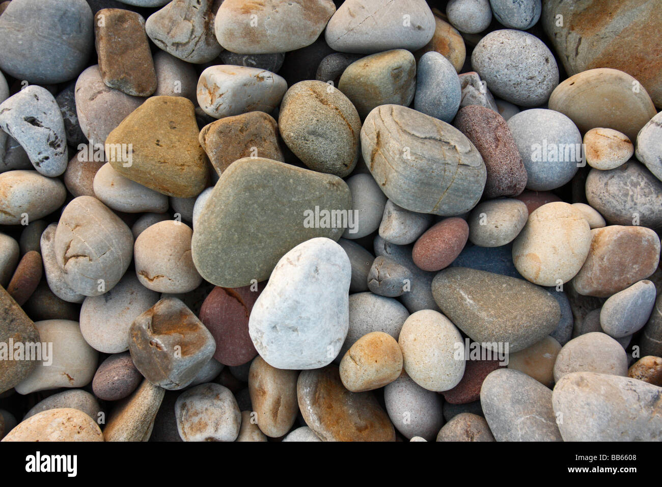 Nahaufnahme der Kieselsteine am Strand Stockfoto
