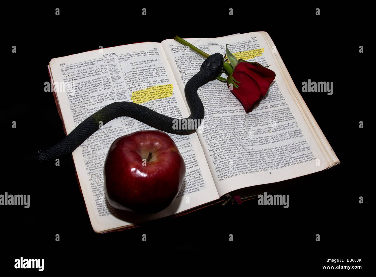 Am Anfang war das Wort die Wahrheit, oder war es? Suche nach der verbotenen Frucht