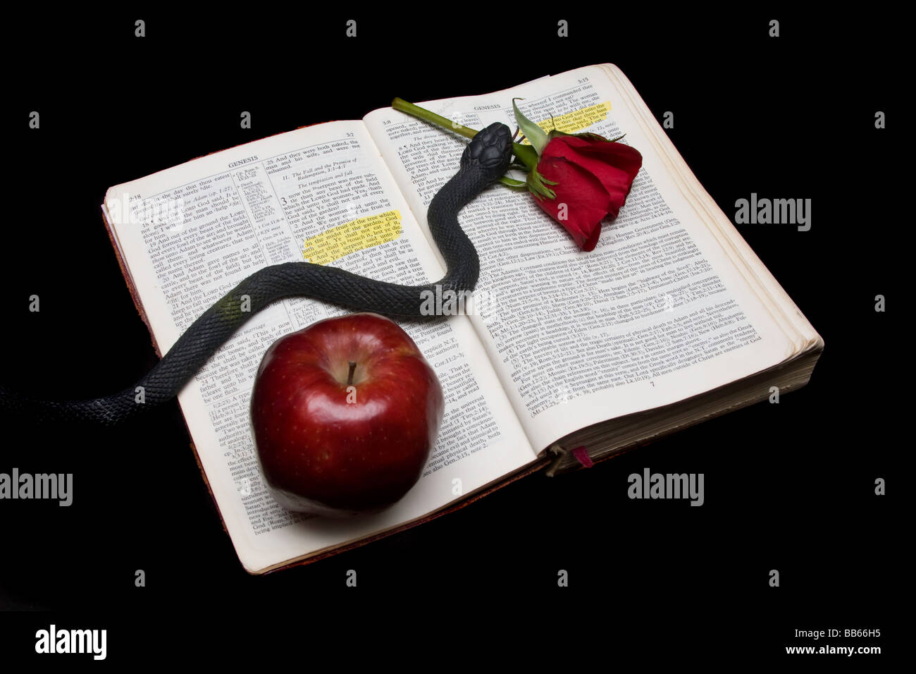 Am Anfang War Das Wort Die Wahrheit Oder War Es Suche Nach Der Verbotenen Frucht Stockfotografie Alamy
