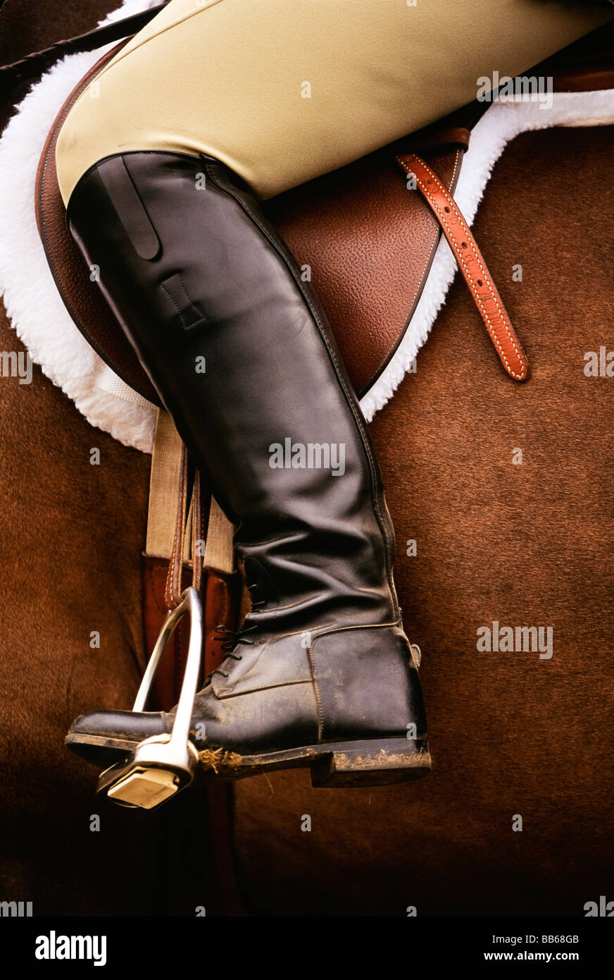 Boot und Bein der Reiterin montiert auf Pferd Stockfoto