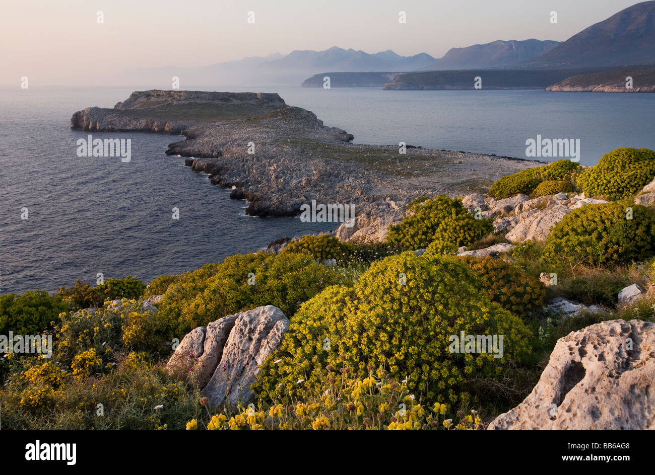 Tigani mani Fotos und Bildmaterial in hoher Auflösung Alamy
