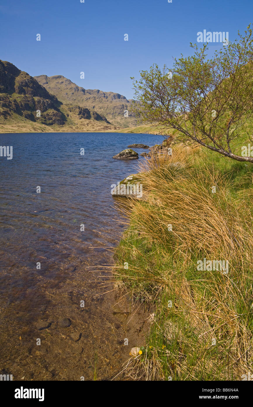 Loch Restil Rest und dankbar Argyll und Bute Schottland Mai 2009 Stockfoto