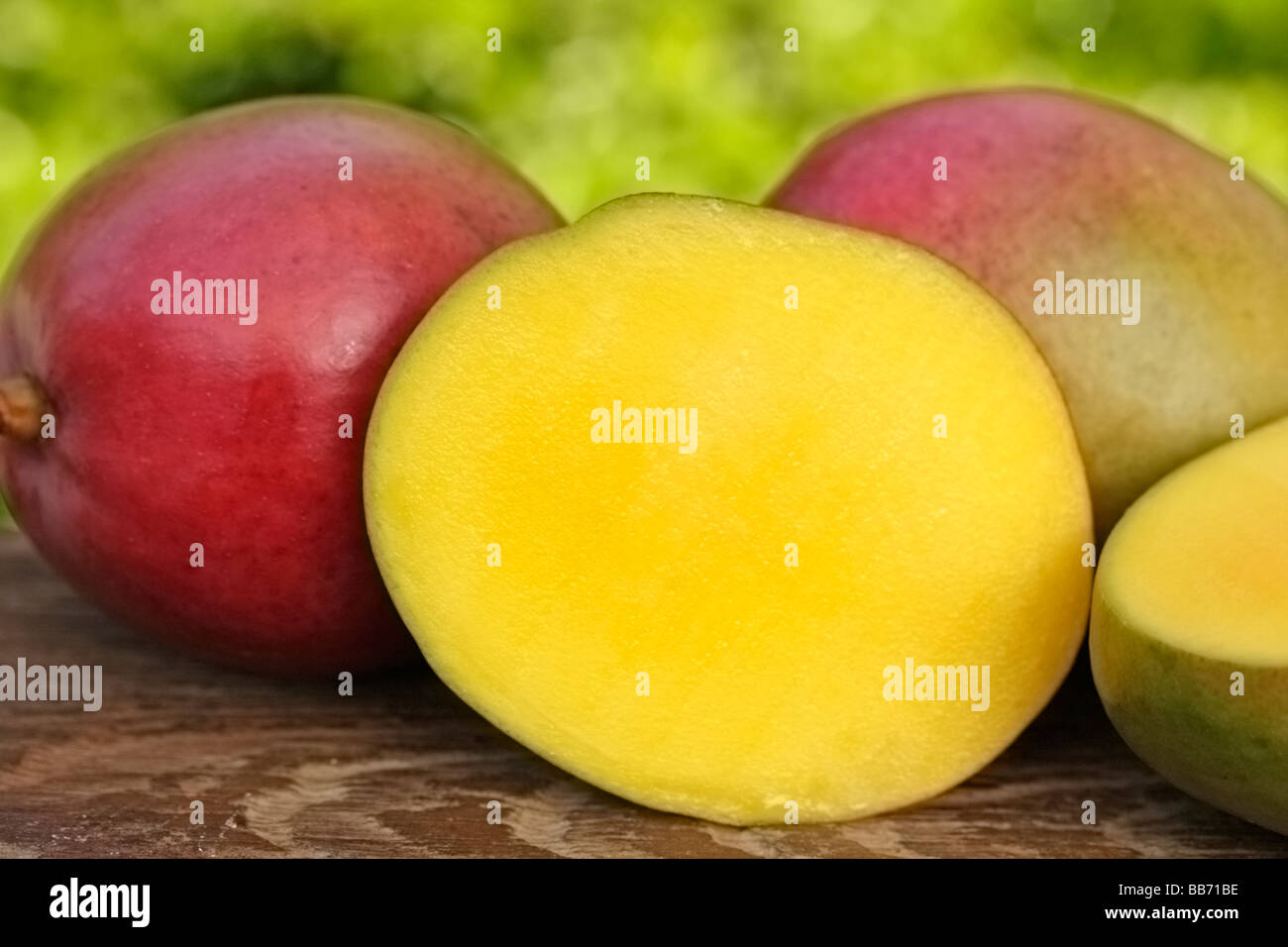 Mango Stockfoto
