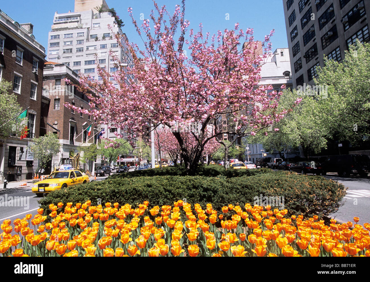 New York City Park Avenue Upper East Side Manhattan Stadtlandschaft mit Verkehrsinsel im Frühjahr. Teure Immobilien und gepflanzte Grünflächen. Stockfoto