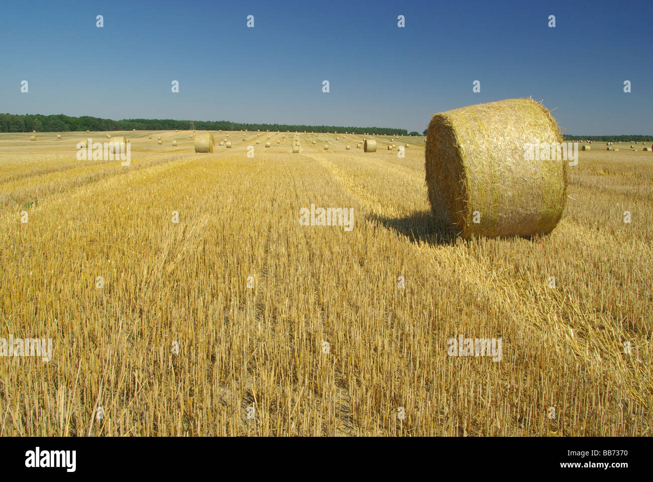 Strohballen Strohballen 15 Stockfoto