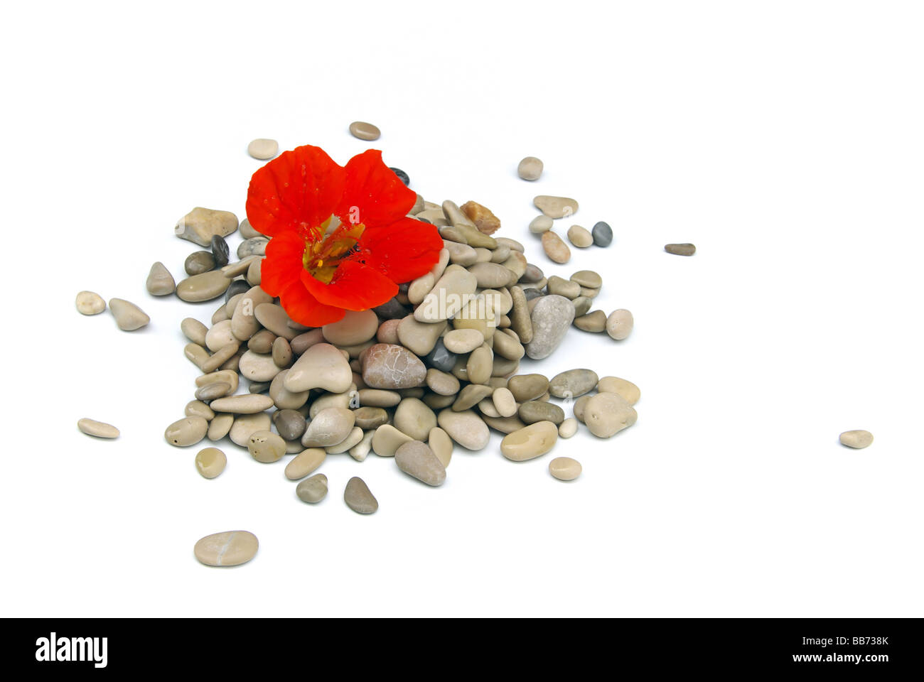 Stein Stein 03 Stockfoto