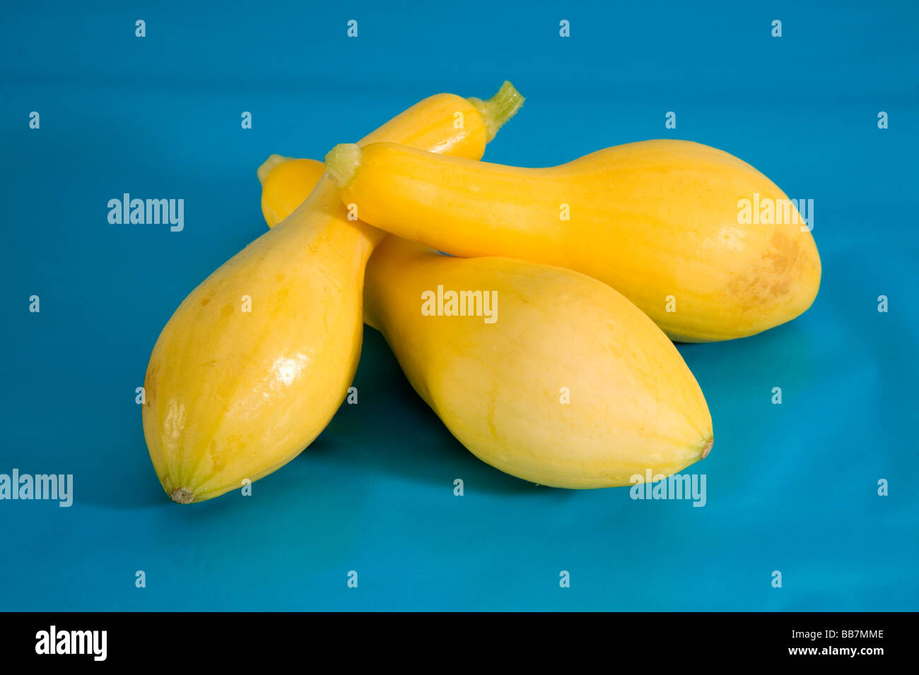 Sommerkürbis Stockfoto