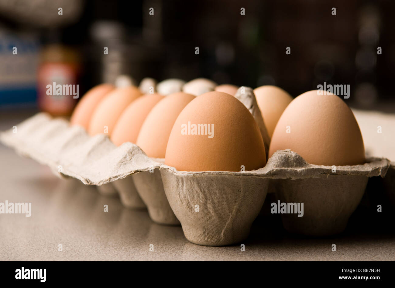 ein Dutzend Eiern im Karton Stockfoto