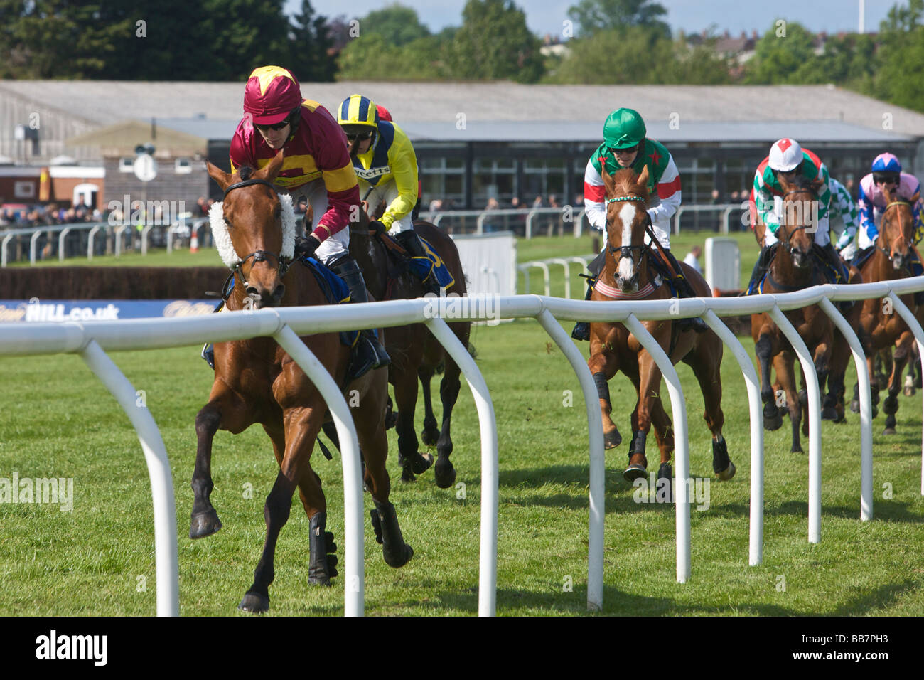 Pferderennen in Fakenham Stockfoto