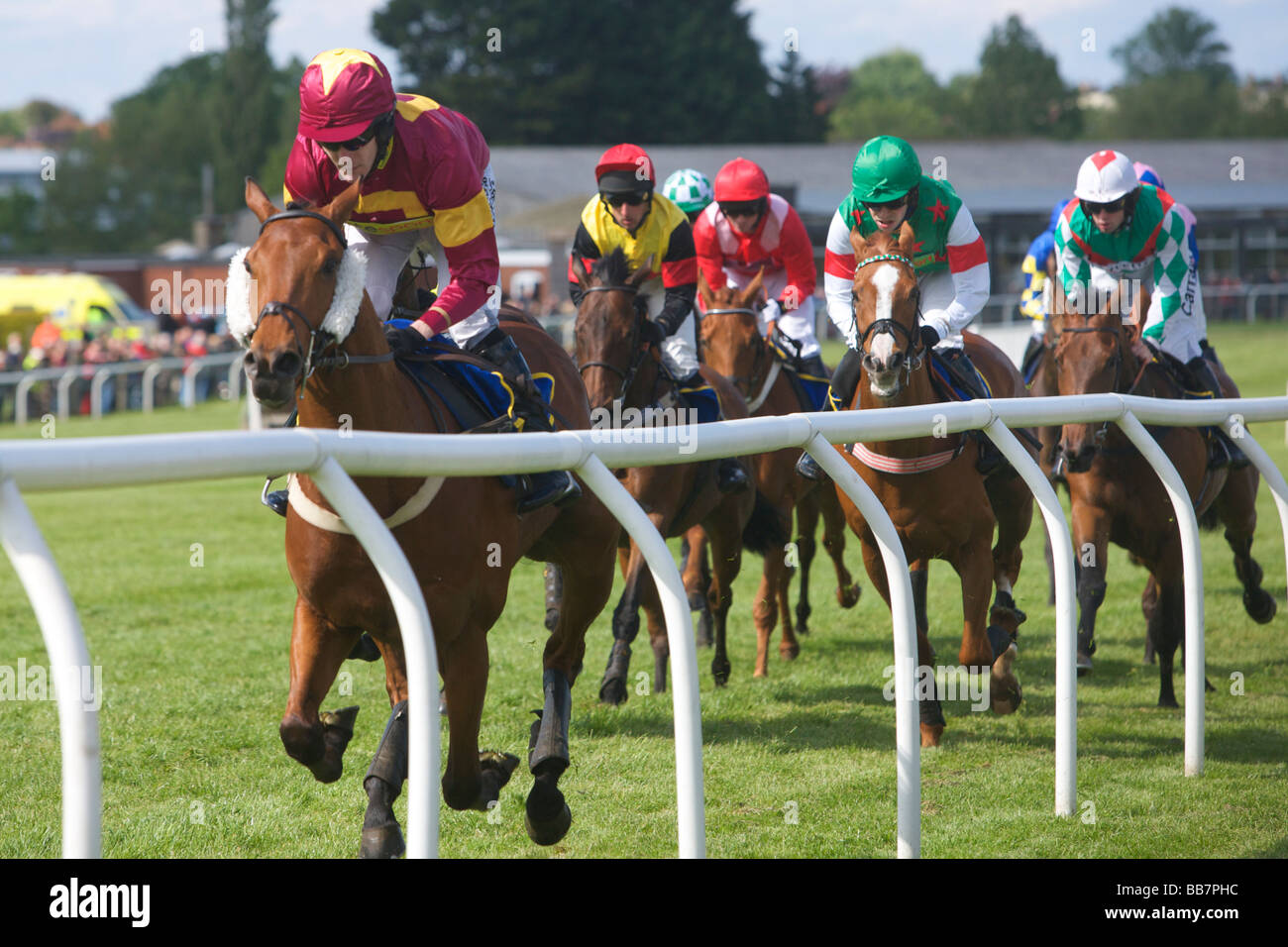 Pferderennen in Fakenham Stockfoto