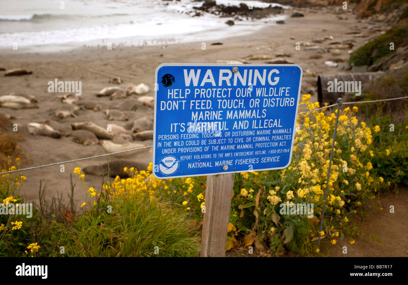 Warnschild zum Schutz von Elefantenrobben, Piedras Blancas Beach, Kalifornien, USA, USA. Stockfoto